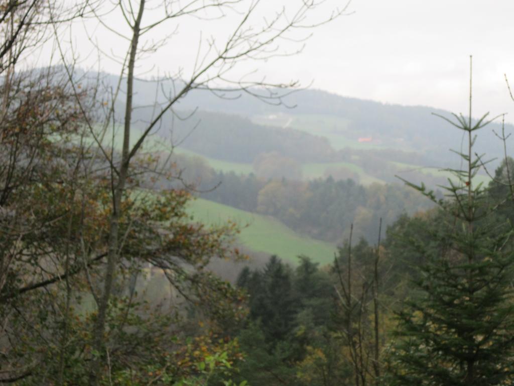 Waldpension Stachl Bromberg Exterior foto